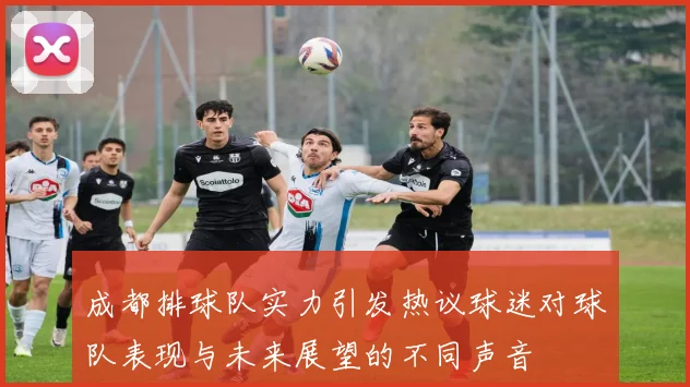 成都排球队实力引发热议球迷对球队表现与未来展望的不同声音