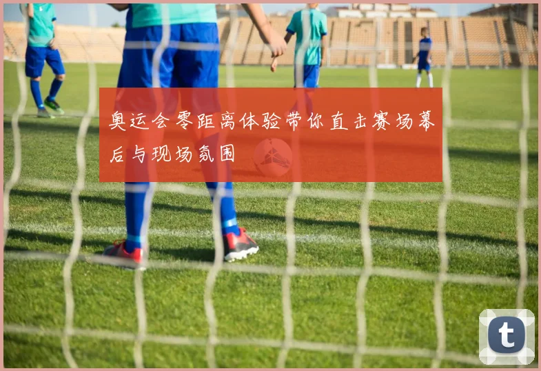 奥运会零距离体验带你直击赛场幕后与现场氛围